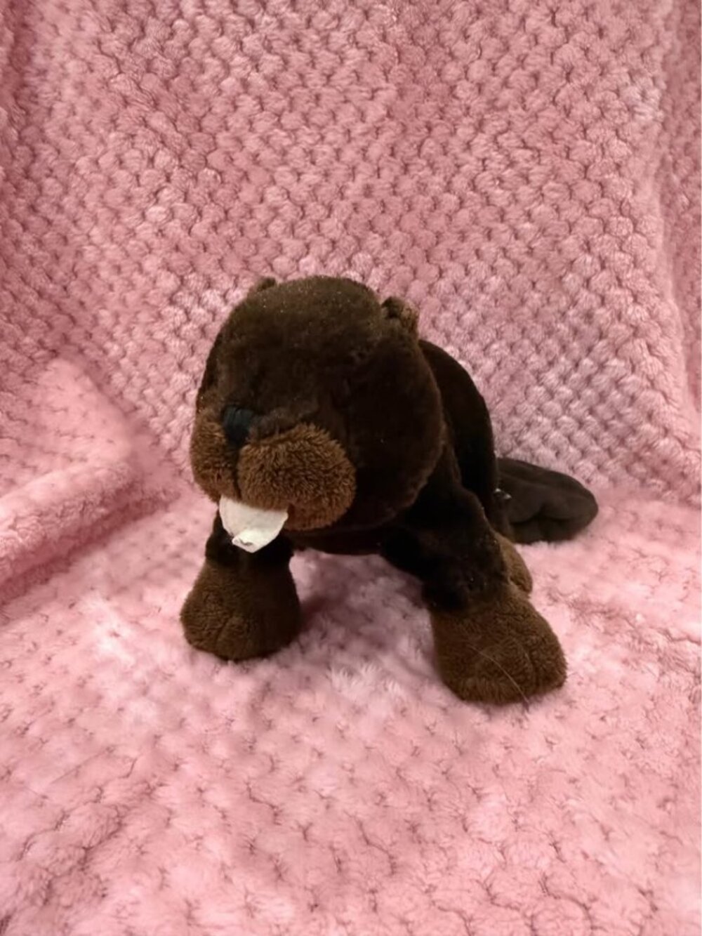 Webkinz Beaver Plush